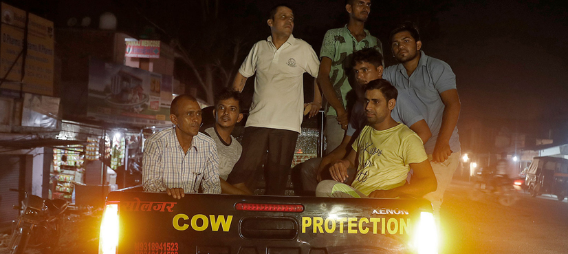 cow-protection-India