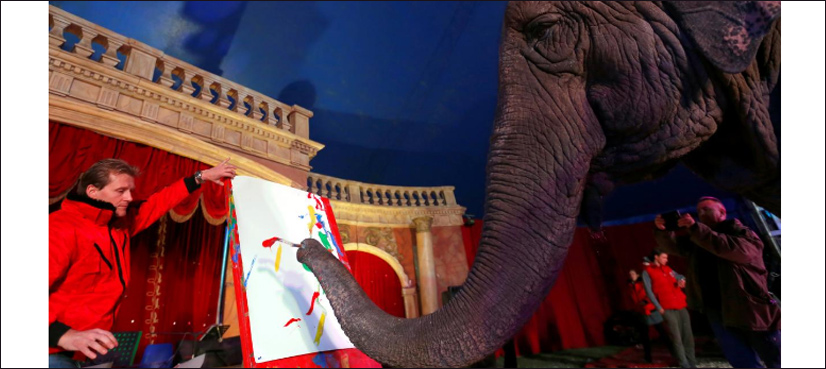 elephant