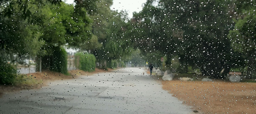 Rain