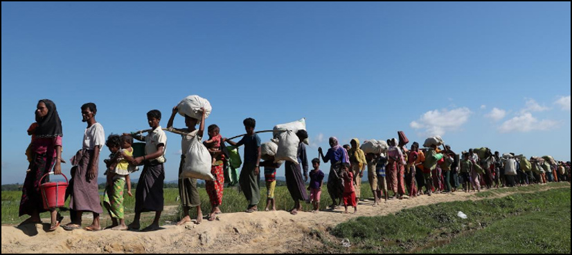 rohingya