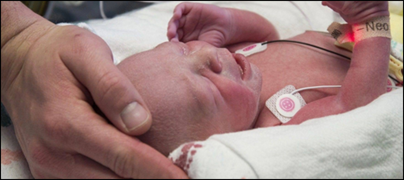transplant womb baby