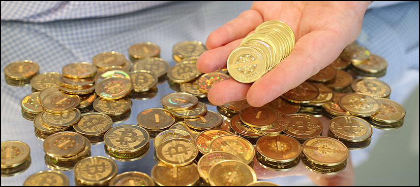 Bitcoin City Adidas