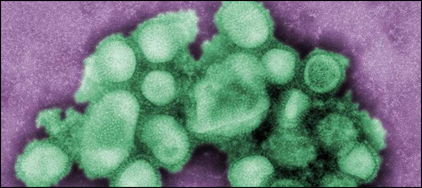 pathogens