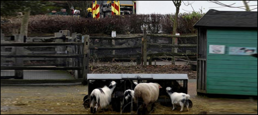 Britain Zoo