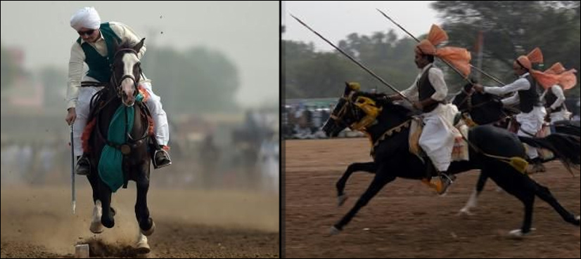 cavalry sport