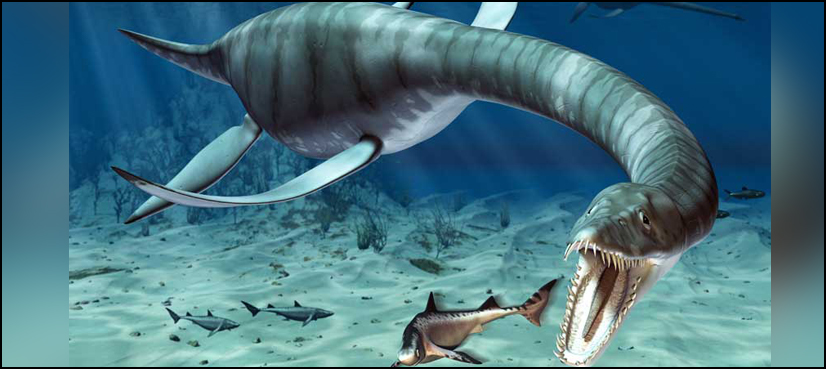 Giant marine reptile plesiosaur