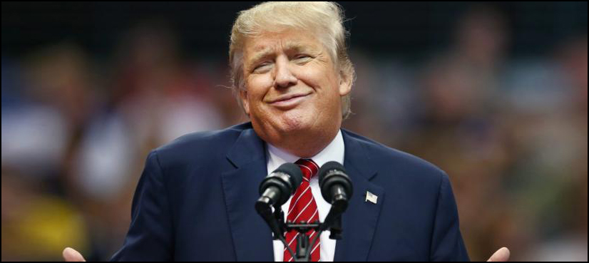 donald trump watch tv