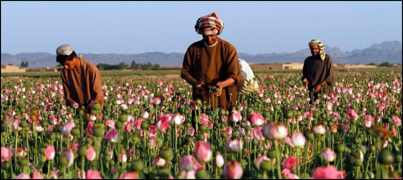 Afghanistan