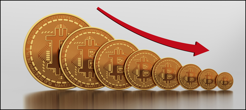 Bitcoin fall future