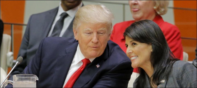 Nikkei Haley