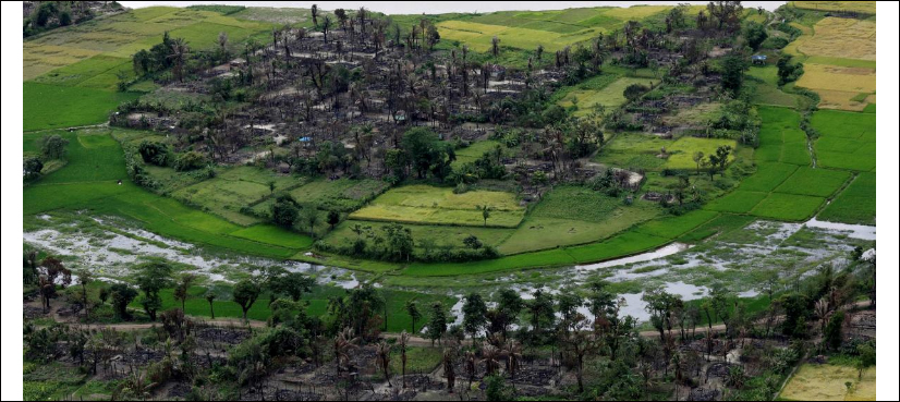 Rohingya
