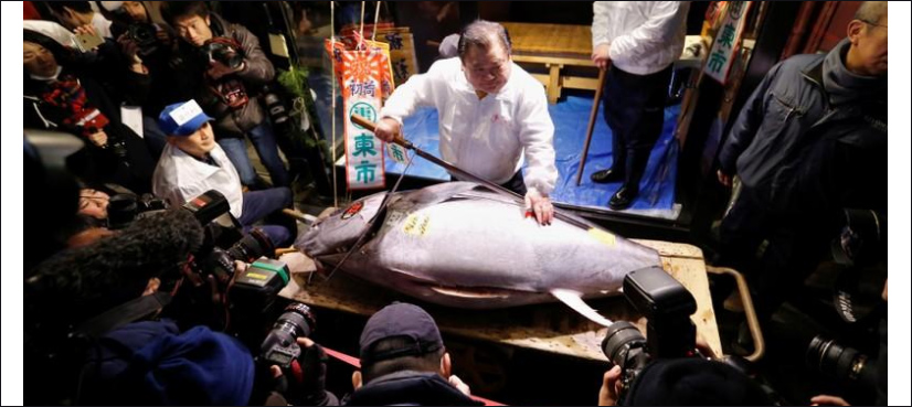 Tuna