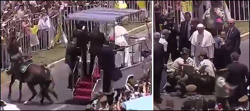 pope police officer fell horse