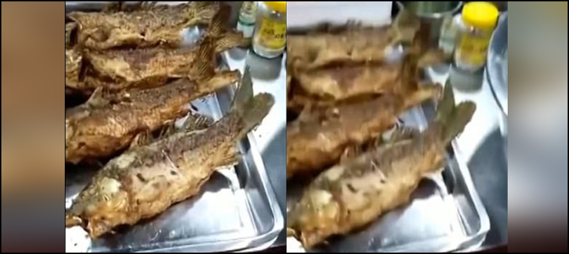 fried fish move table china