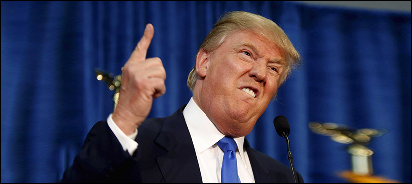trump book mental fitness