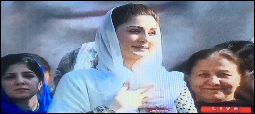 PML-N