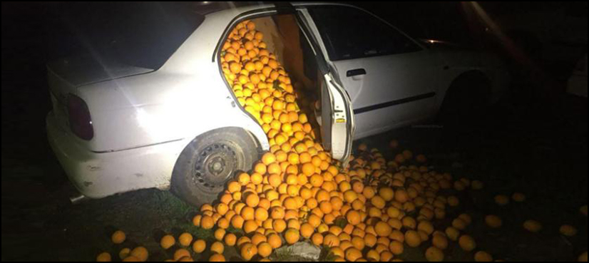 oranges steal Spain