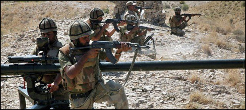 Pakistan war on terror senate