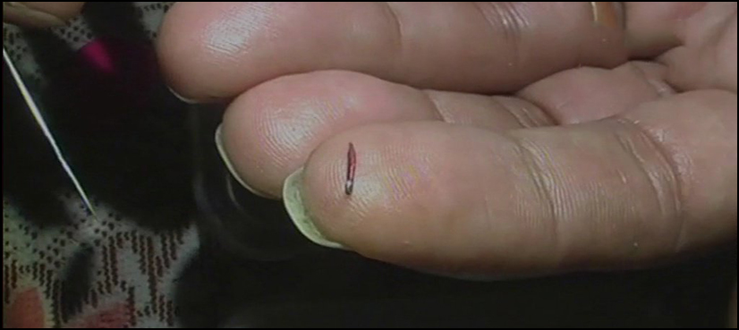 WORLD'S SMALLEST PENCIL