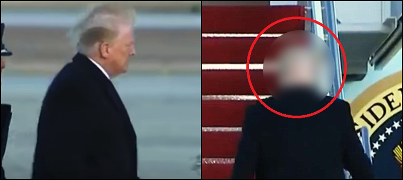 donald trump hair fake wig