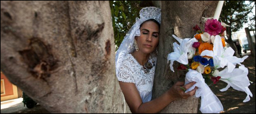 Mexico women marry trees