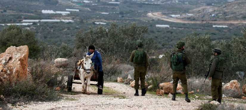 Palestine