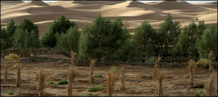 global land health report