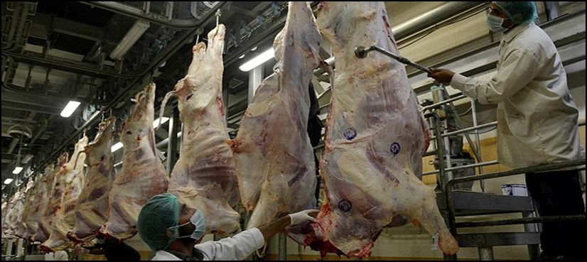 Sindh Food Authority