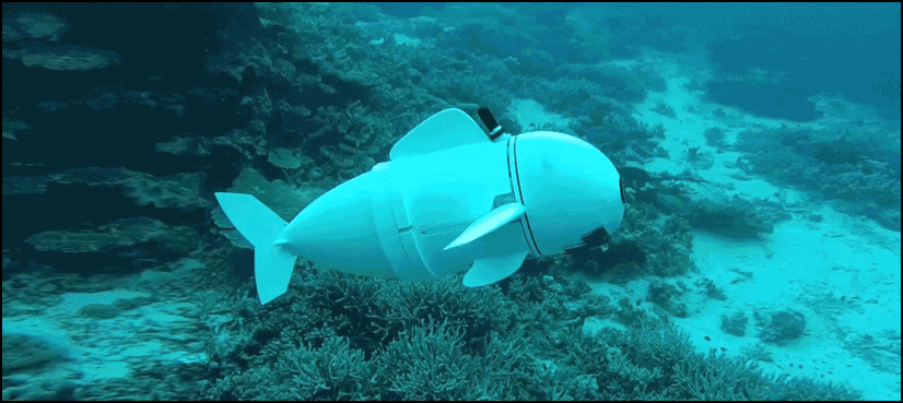 Robotic fish
