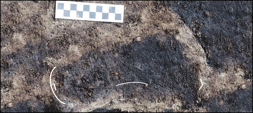 Oldest human footprints
