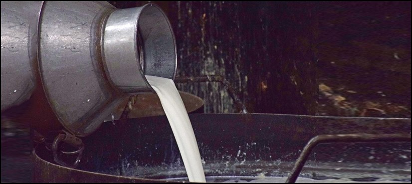 Karachi milk price