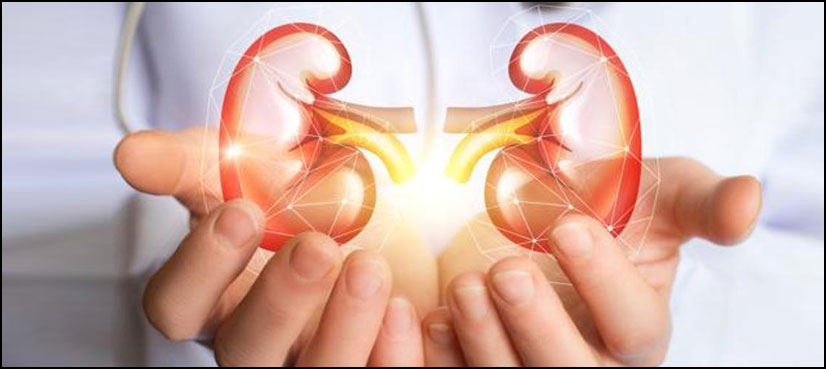kidney COVID-19 patient