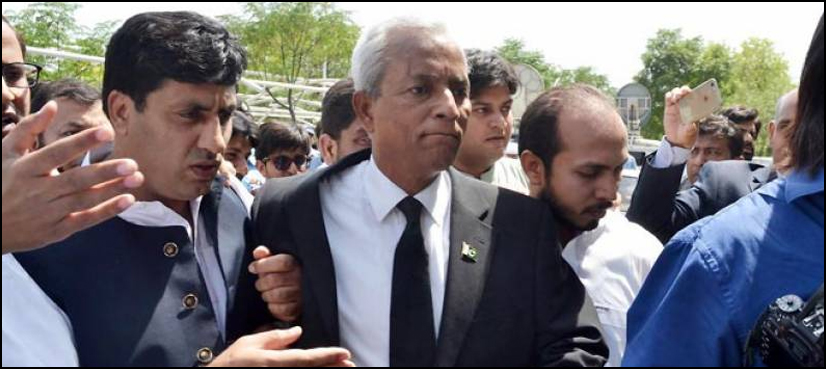 Nehal Hashmi
