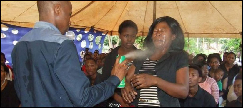 South African pastor insecticide