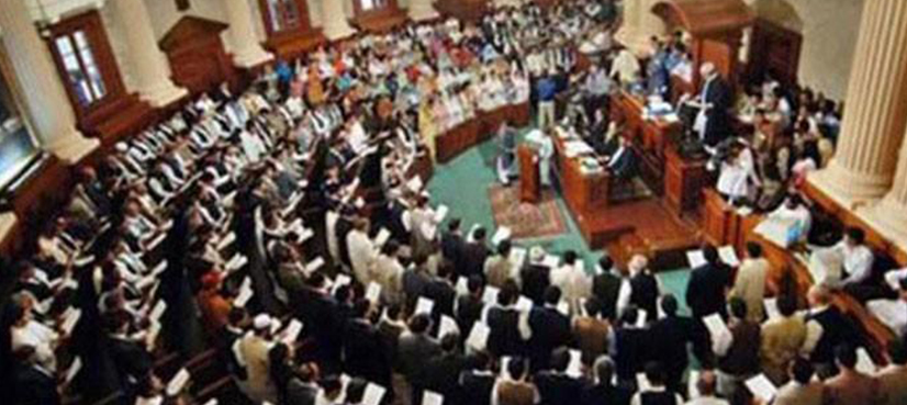 Punjab Assembly Rana Mashhood