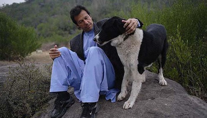 Imran Khan Dog Sheru