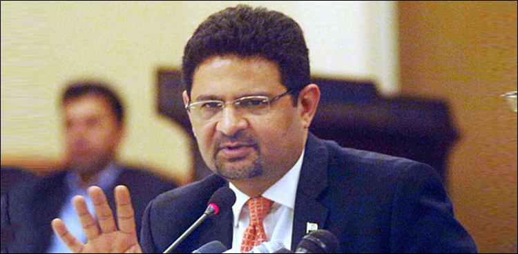 Miftah Ismail ECP Warning