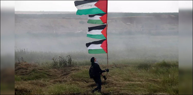 Palestinian