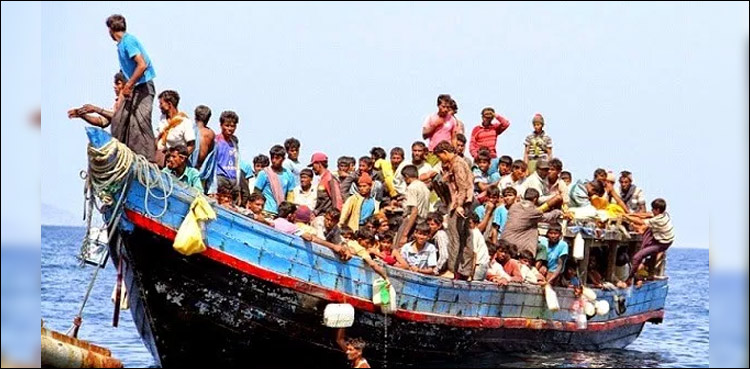 Rohingya