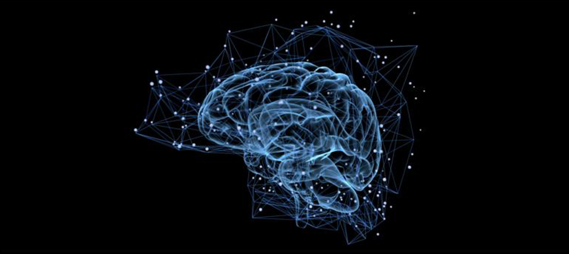 new brain cells research