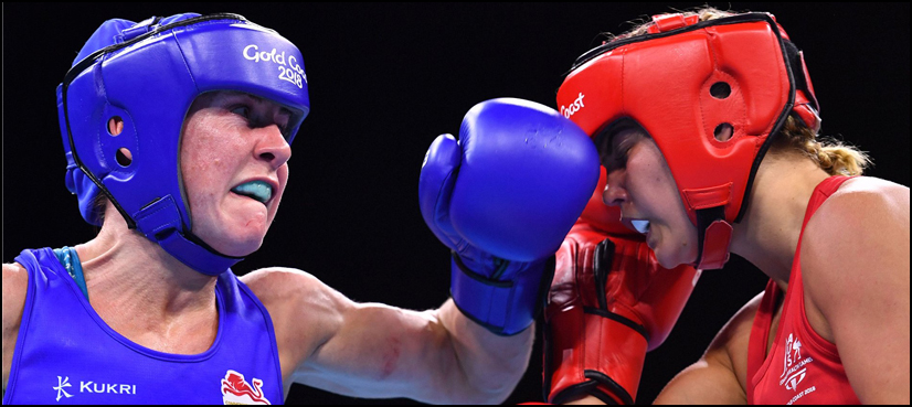 bronze aussie boxer