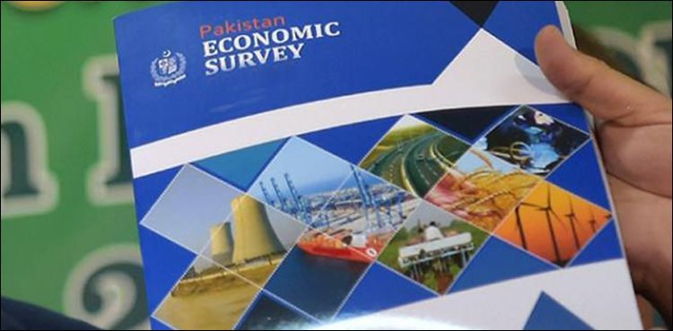 Pakistan economic survey, Ishaq Dar, PM Shehbaz Sharif