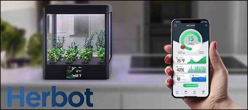 herbot