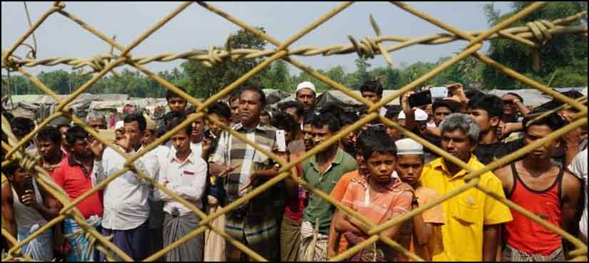rohingya