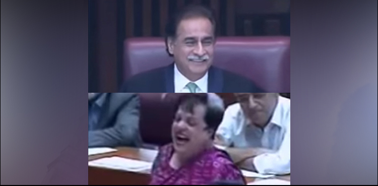 Ayaz Sadiq Shireen Mazari