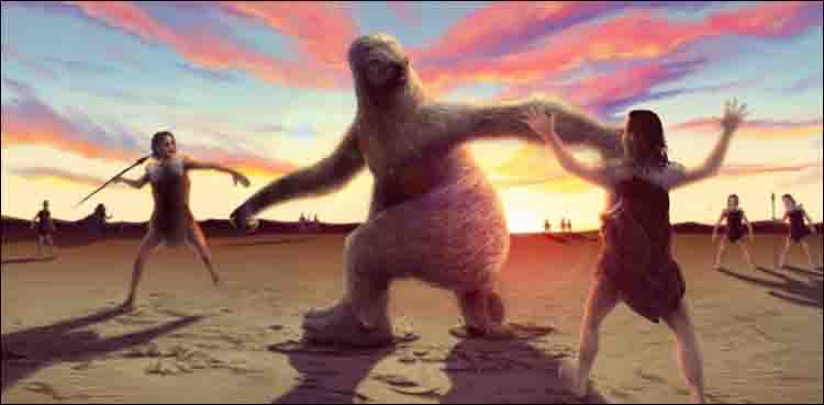 sloth