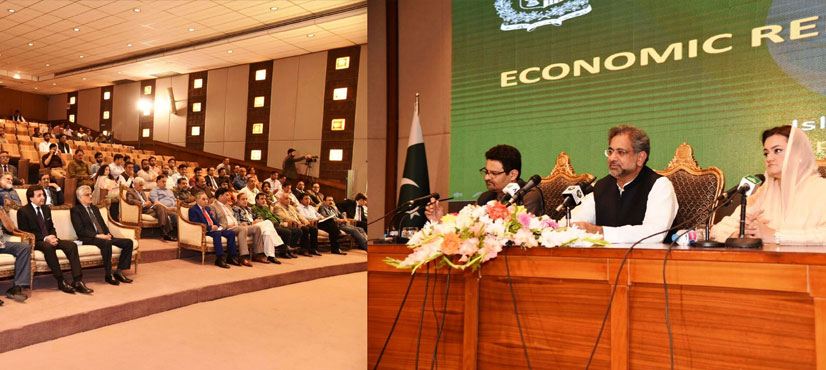 tax amnesty