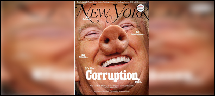 Donald Trump New York Magazine pig