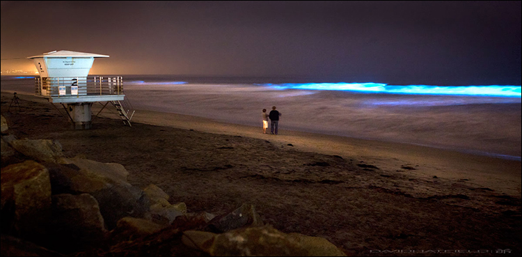 Neon blue waves snapped crashing California shoreline