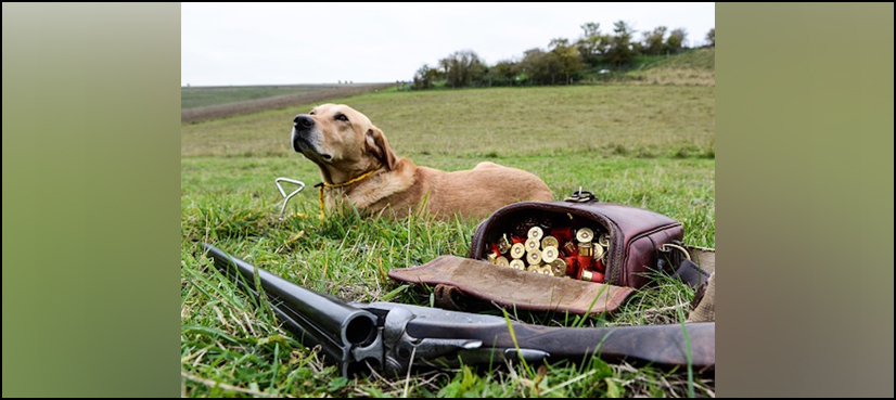Man shot by dog